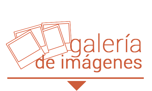 Galeria de imágenes